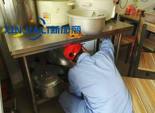 灭91香蕉APP成人污下载